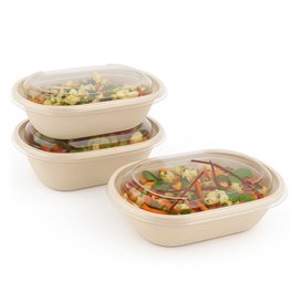 Plastic Lid PET for Container 19x15cm (300 Units)