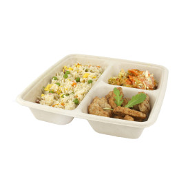 Sugarcane Container 3 Compartments 900ml 23x23x4cm (300 Units)