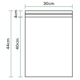 Plastic Bags Adhesive Flap CPP G160 30x40cm (100 Units)  