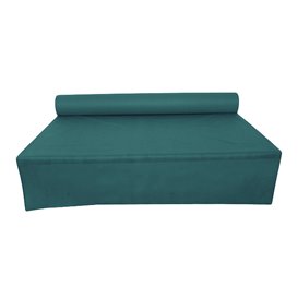 Novotex Tablecloth Roll Green 50g P40cm 1,2x50m  (1 Unit)