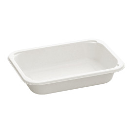 Sugarcane Container PLA Laminated 580ml 18,7x13,6x3,6cm (300 Units)