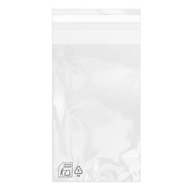 Plastic Bag with Adhesive Flap Cellophane 10x15cm G-160 (1000 Units)