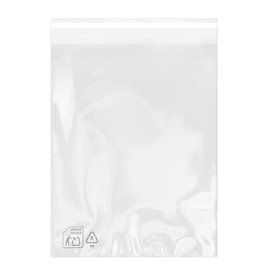 Plastic Bag with Adhesive Flap Cellophane 22x32cm G-160 (100 Units)  