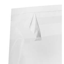 Plastic Bag with Adhesive Flap Cellophane 30x40cm G-160 (1000 Units)