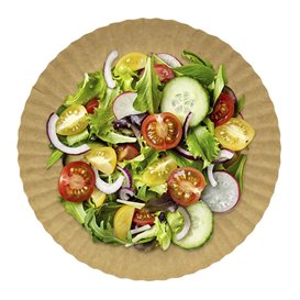 Paper Plate Round Shape Kraft 23cm 255g/m2 (600 Units)