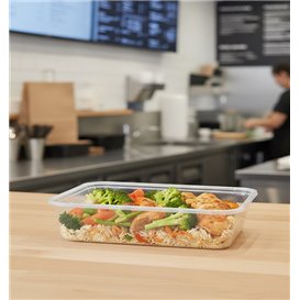 Rectangular Container in PP Transparent 500ml 17,4x11,6x3,5cm (25 Units) 