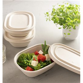 Sugarcane Lid for Bowl 19x15cm (300 Units)  
