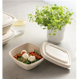 Sugarcane Lid for Bowl 13x13cm (500 Units)  